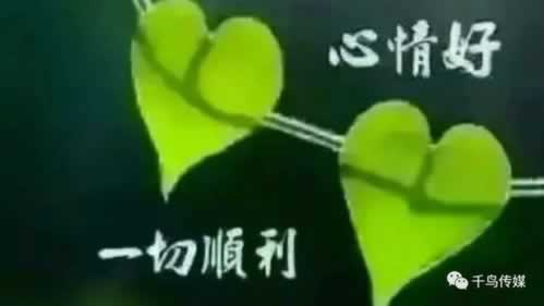 网黑急需5万块钱怎么办.内容导语(图)