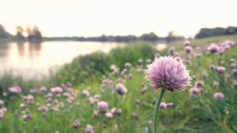 平台取款不给出怎么解决呢知乎.内容导语（图）