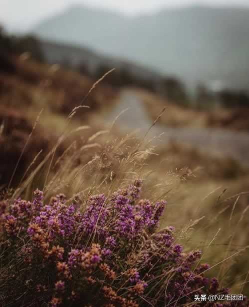 核酸检测为什么一直是待检测 客户应对(图)