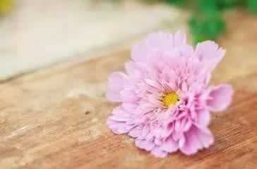 导出数据前面有个逗号.自序（图）