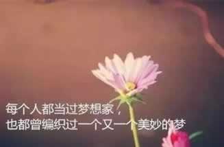 大众点评不能和商家对话吗怎么回事.内容概要（图）