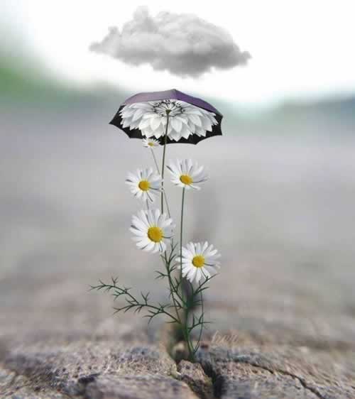 系统导出数据怎么弄到excel.文章慨括(图)