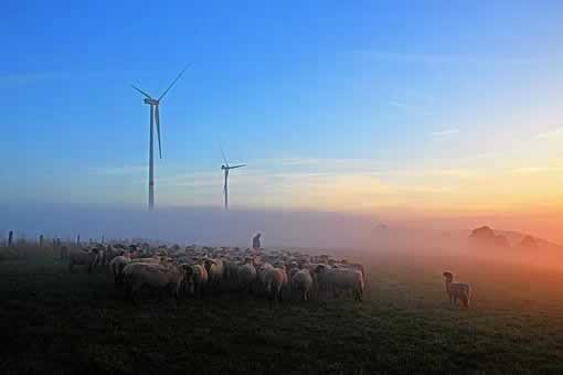 出款一直审核中是不是被黑了大家怎么弄(图)