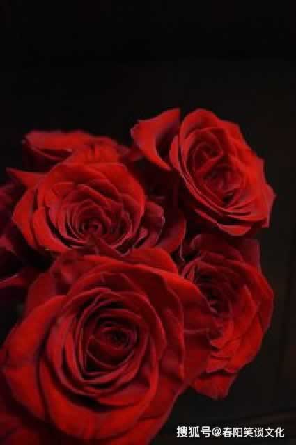 平台维护不给出款怎么办.文章慨括（图）