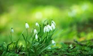 被平台黑了怎么才能解决出款?.引题(图)