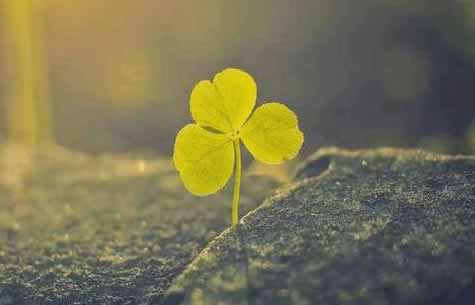 导出数据前面有个逗号.自序（图）