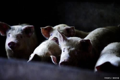 提款说出款系统维护.内容导语（图）